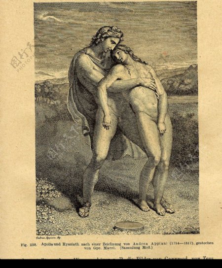 古典神话书籍插图阿波罗与雅辛托斯图片