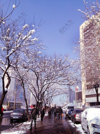 雪街景图片