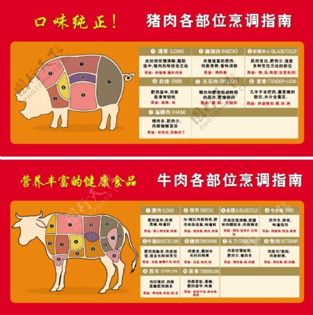 猪牛肉分割各部位烹饪指南图片