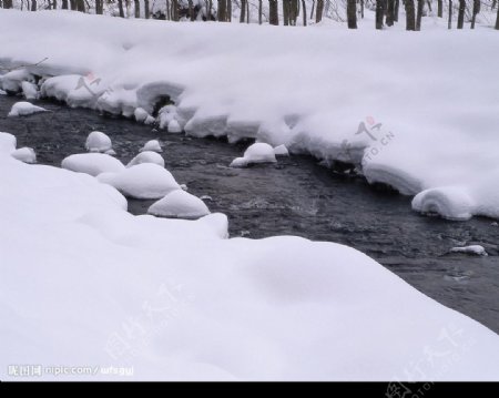 白色冬景融化的河流小溪树木图片
