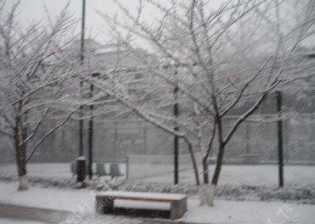 同济大学网球场雪景图片