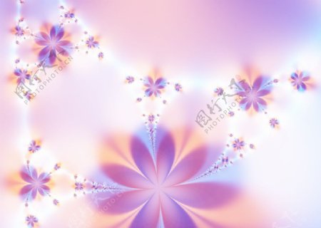 粉紫色花语图片