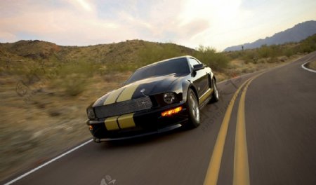 Mustang福特野马Ford图片