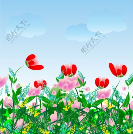 鲜花背景图片