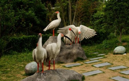 下渚湖湿地公园的雕塑图片