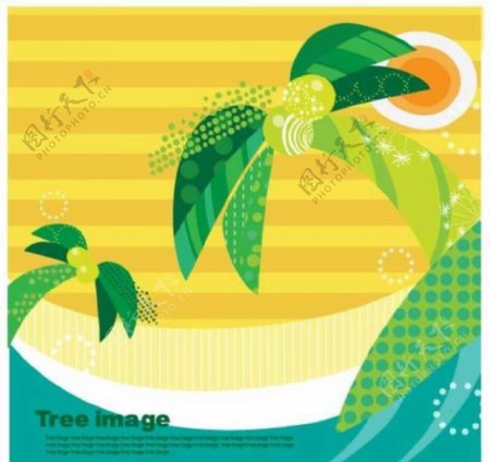 椰子树大树图片