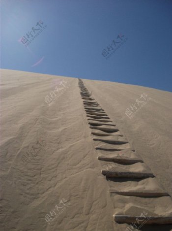沙漠梯子图片