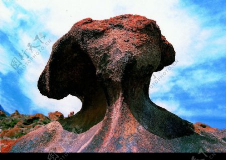 魔鬼城蘑菇形风雕图片