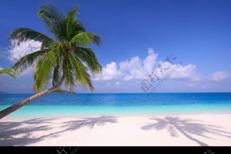 海边沙滩椰子树蓝天白云倒影大海自然景观自然风景风景风光图片