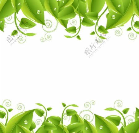绿叶水珠水滴环保背景图片