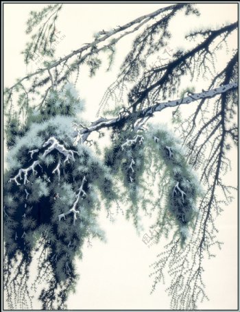 水墨矢量松树图片