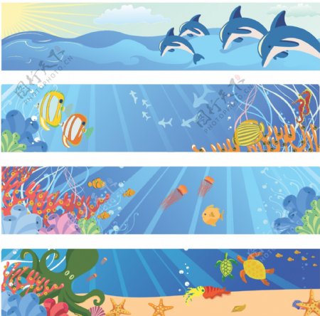 热带海洋banner图片