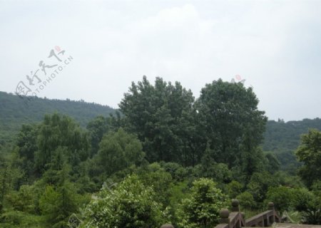 龙泉山风景图片