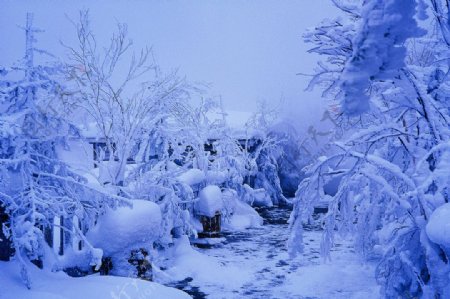 冬季冰雪雾凇图片