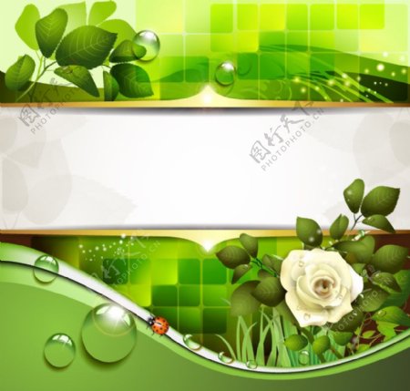 鲜花绿叶瓢虫环保背景图片