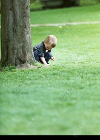 儿童绿地大树图片