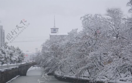 雪后黄桥图片