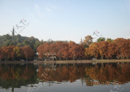 秋日湖光图片