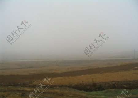 乡间晨雾图片