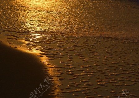 洒满金光的海滩图片
