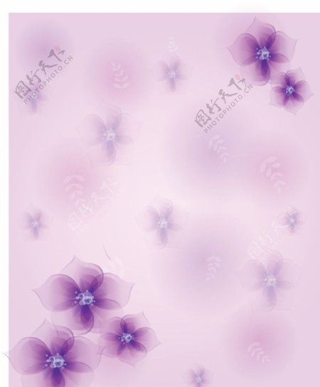 紫色梦幻花朵背景图片