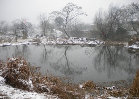 静湖围雪图片