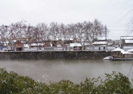 大运河边的雪景图片