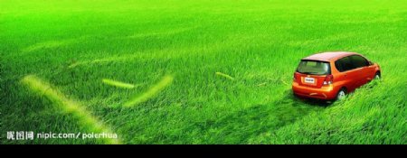 草地上的雪佛兰乐骋图片