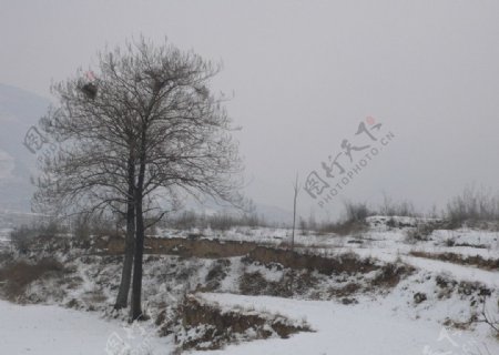 雪景图片