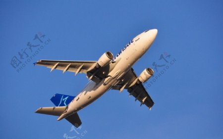 空客A310远程客机图片