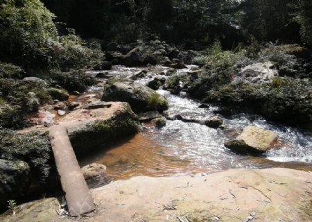 贵州赤水瀑布林间小径图片