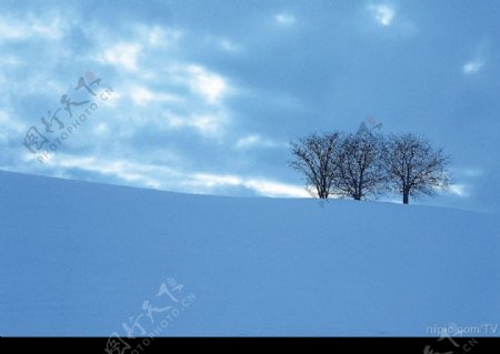 雪景壁纸图片