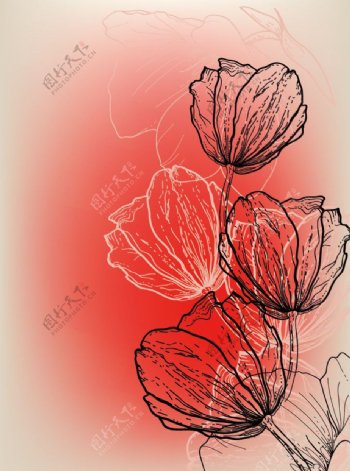 手绘时尚花纹花朵郁金香图片