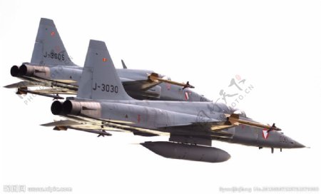 F5虎鲨战斗机图片