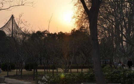公园落日图片