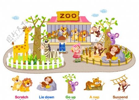 卡字母zoo图片