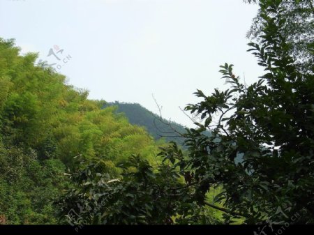 衢州铜山源水库图片