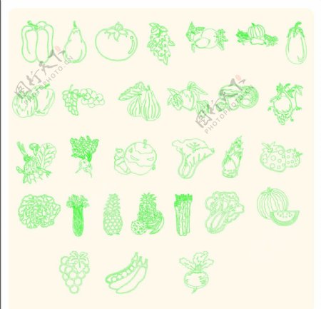蔬菜和水果矢量图片