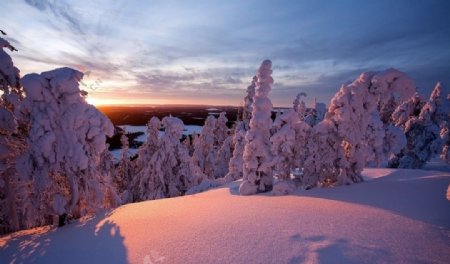 阳光雪景图片