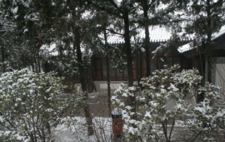 雪中庭院图片