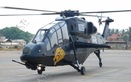 印度LCH武装直升机图片