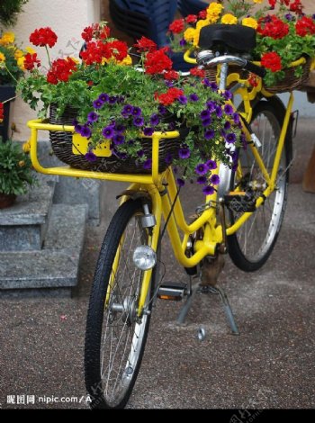 自行车漂亮的花朵图片