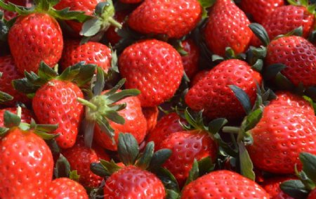 草莓堆水果图片