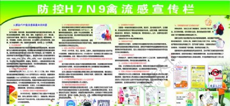 防控H7N9禽流感宣传栏图片