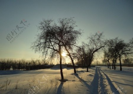 冬天的夕阳图片