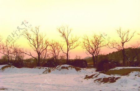 雪后黄昏图片