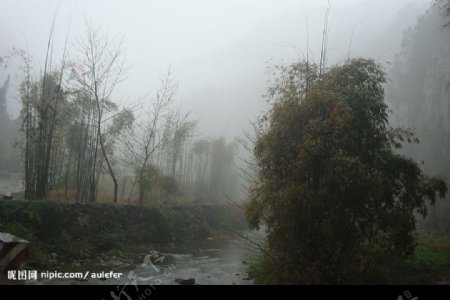 雨雾山景图片