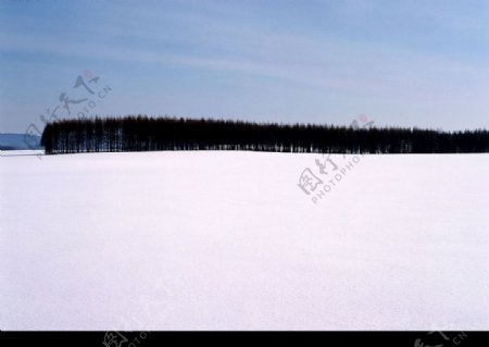 雪景自然冰雪图片