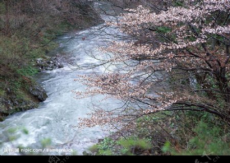 季节景致溪流水源11图片