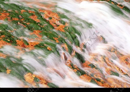 季节景致溪流水源9图片